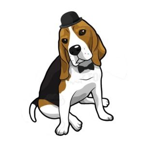 Meet your Posher, Jocelyn